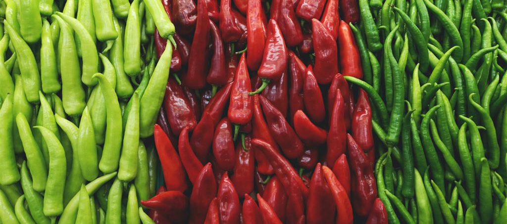 Asia’s largest Chilli Market in Guntur, Andhra Pradesh, India