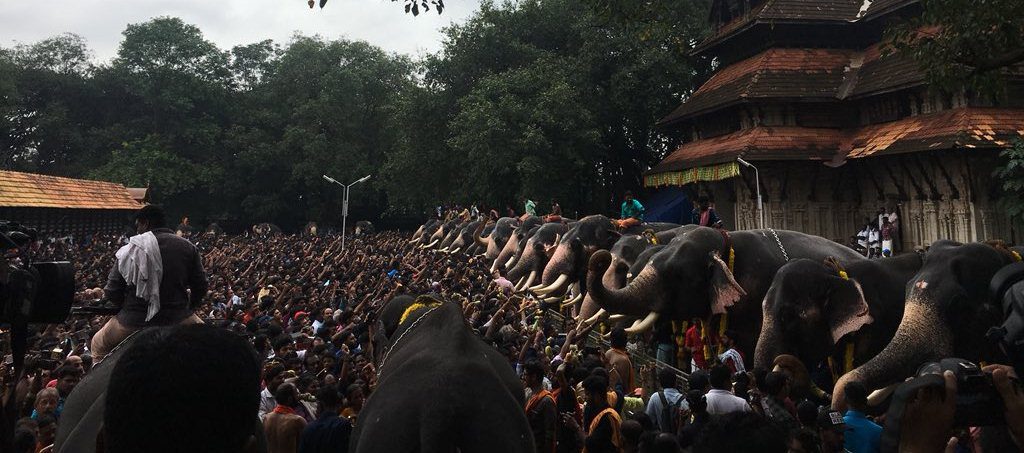 The festival of Aanayoottu in Kerala, India: Feast for the Giants