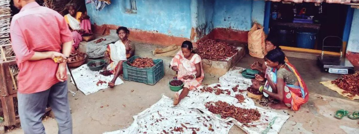 Odisha's Rayagada, the tribal community is making cakes from tamarind