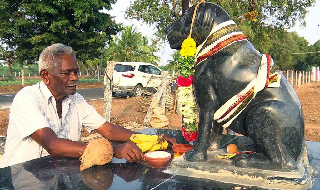 5 historical temples of India where, dogs are worshiped instead of gods & goddesses