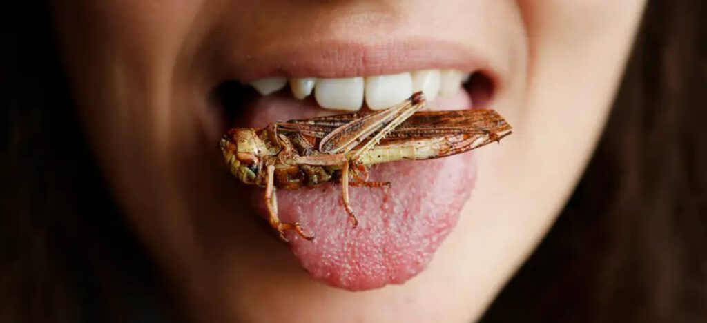 World’s Top 10 Most Bizarre Food Eaten in India