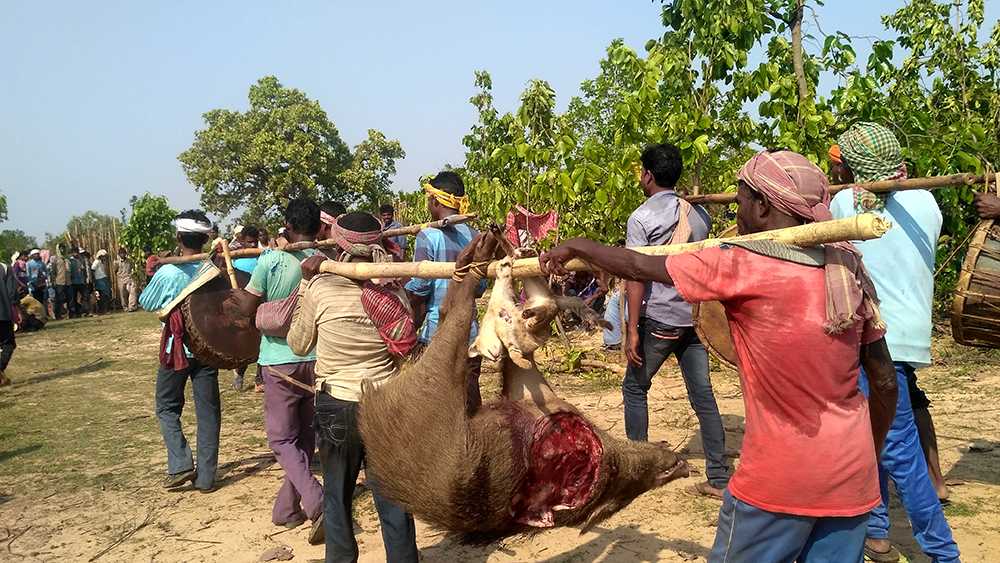 Hunting Festivals of West Bengal 1