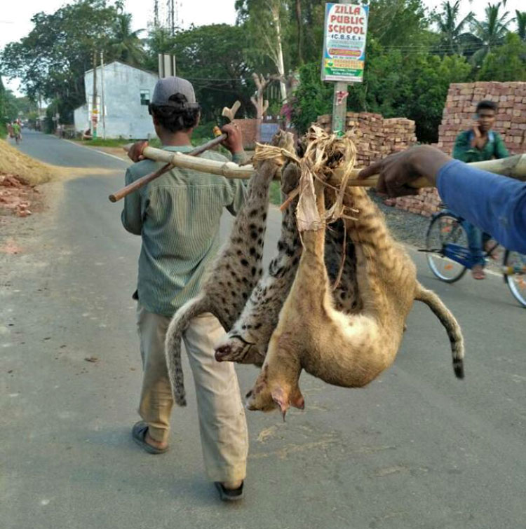 Hunting Festivals of West Bengal 5
