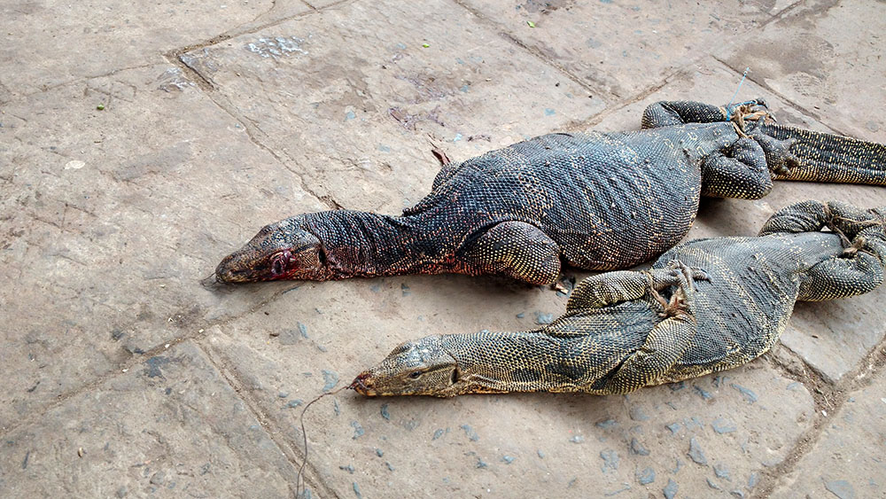 Hunting Festivals of West Bengal 5