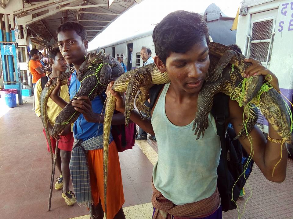 Hunting Festivals of West Bengal