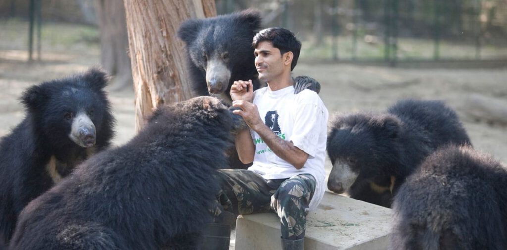 Discovering the World’s Second Largest Sloth Bear Rescue Centre in Bengaluru, India