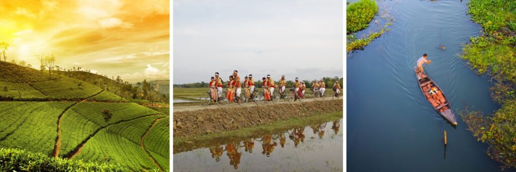 Fixer in Assam Line producer