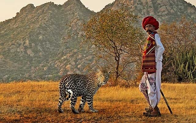 fixer in Jawai Rajasthan 4