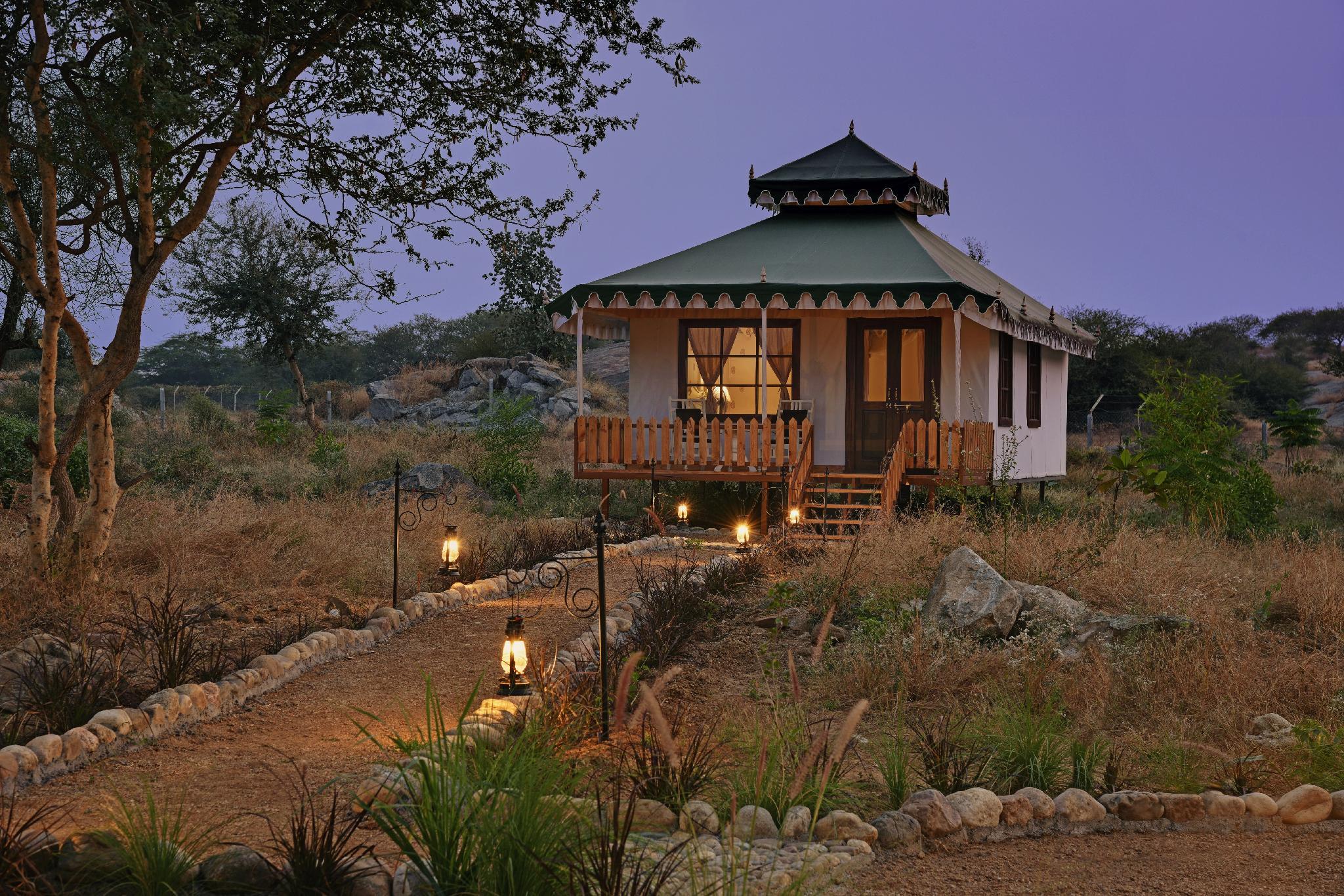Bera & Jawai: India’s Leopard Paradise Where Humans and Big Cats Coexist