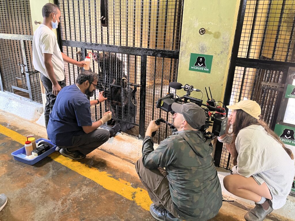 Derrick & Vasi – The Sloth Bear’s Story