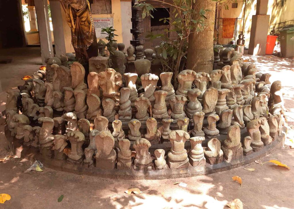 kerala snake festival 1