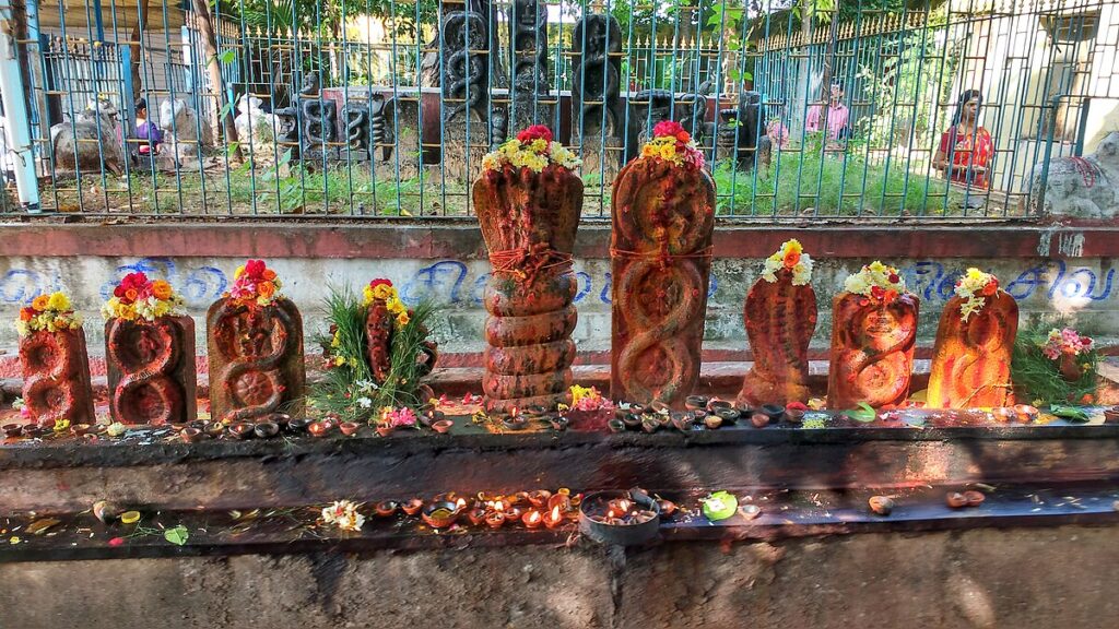 Inside Kerala’s Sacred Snake Festival: A Serene Dance of Reverence