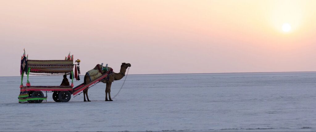 Media Production Fixer Support in Rann of Kutch Gujarat Line Producer